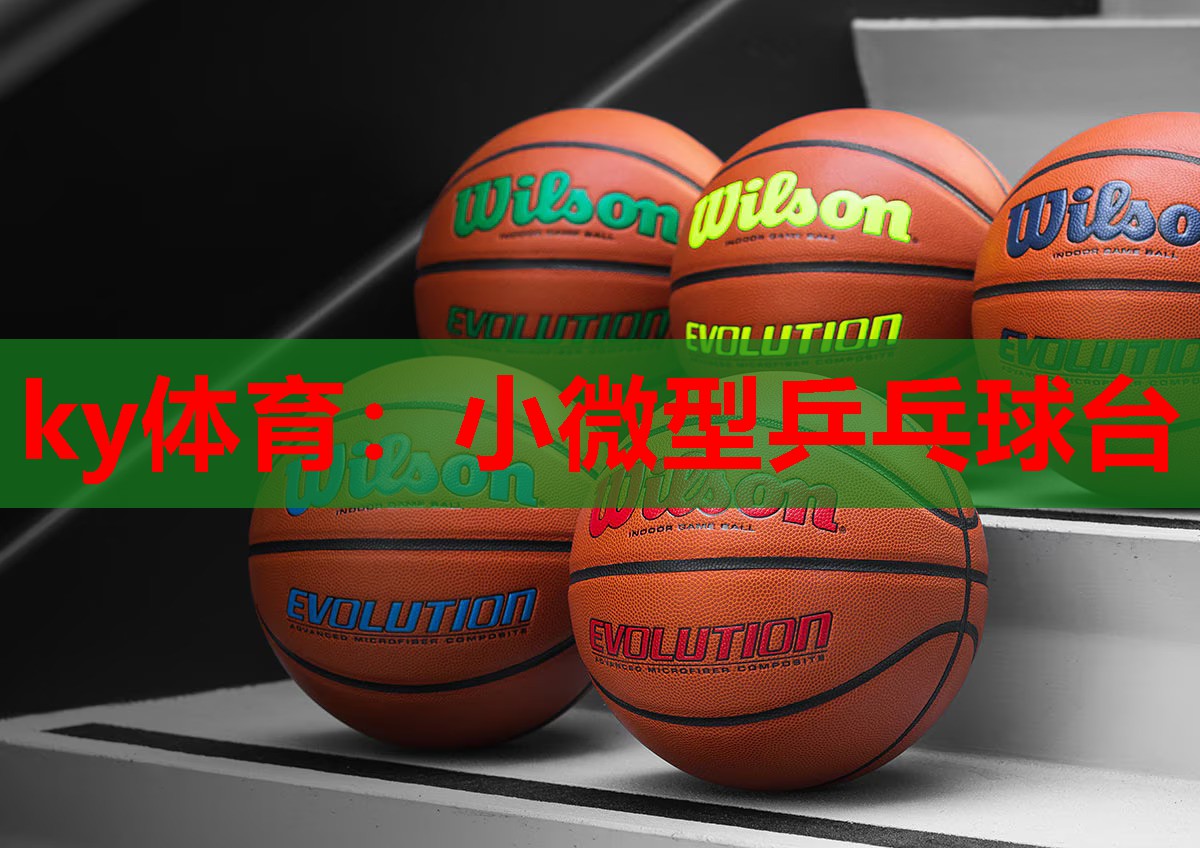 ky体育：小微型乒乓球台