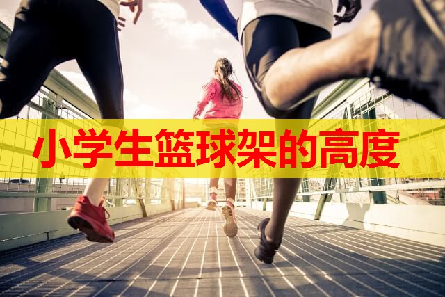 小学生篮球架的高度