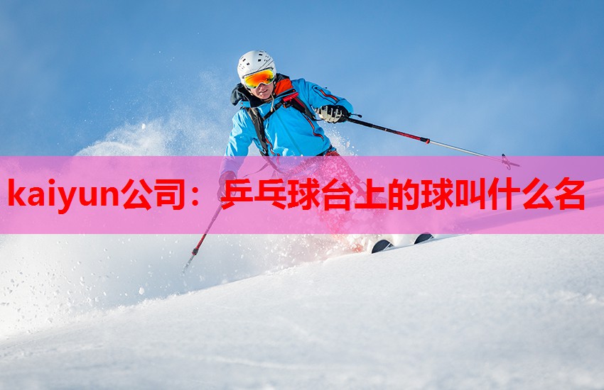 乒乓球台上的球叫什么名
