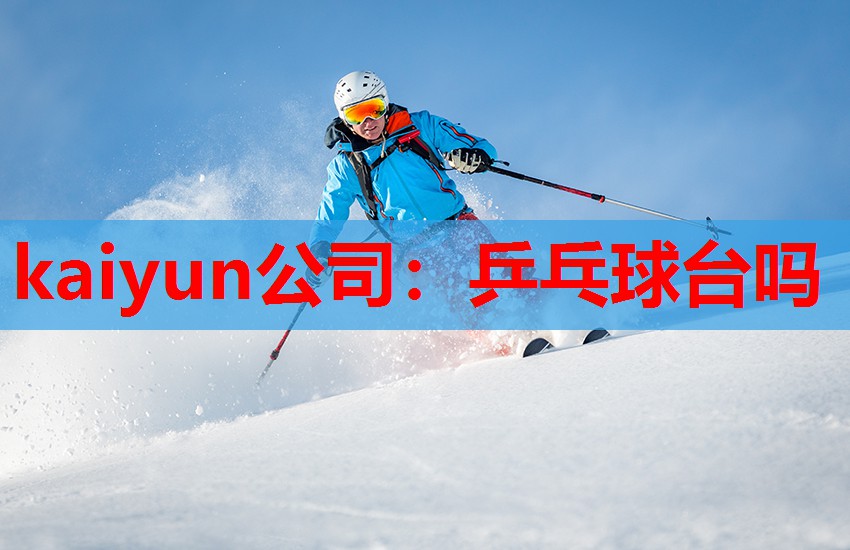 乒乓球台吗