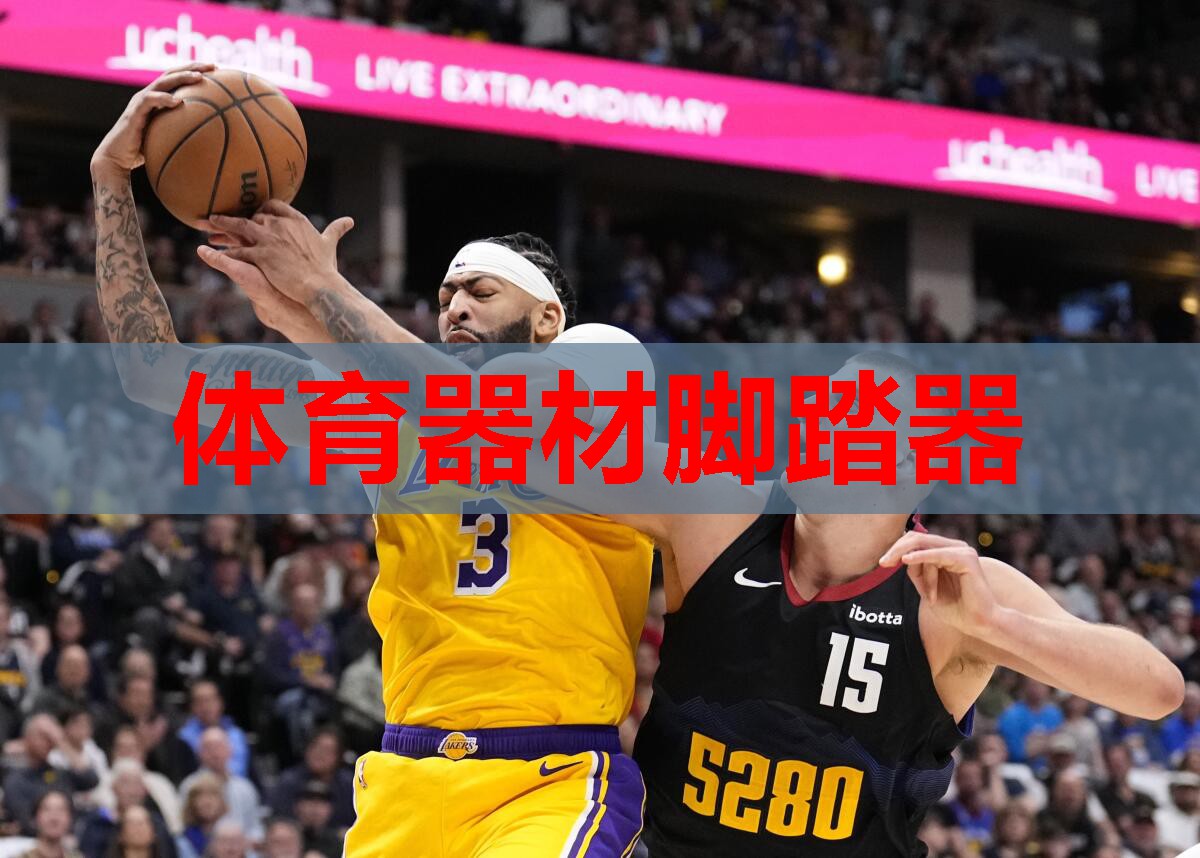 体育器材脚踏器