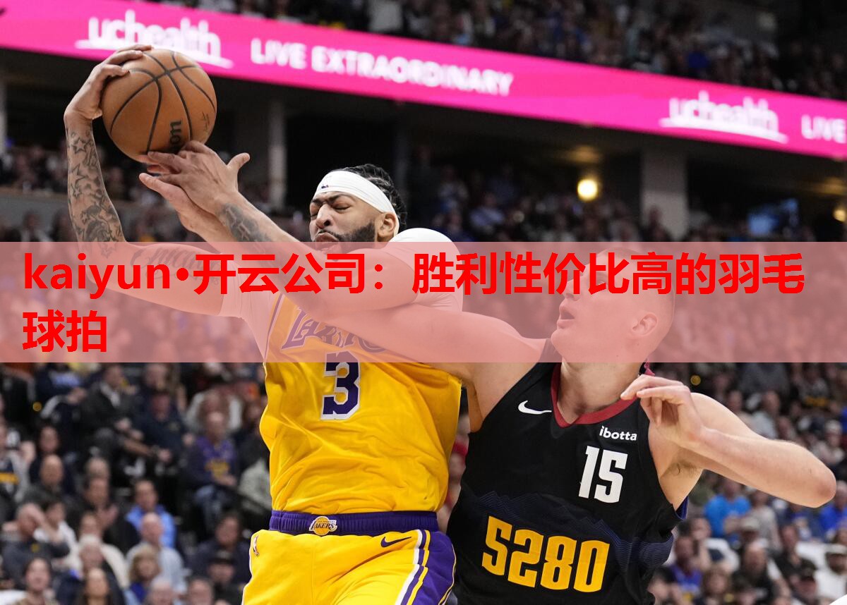 胜利性价比高的羽毛球拍